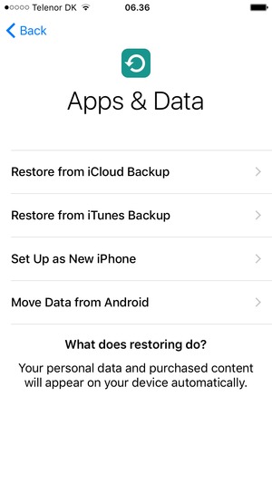 Go through the setup assistant again as you did when your phone was new.