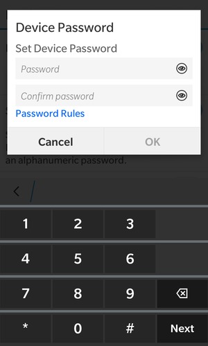 Enter a password twice and select OK