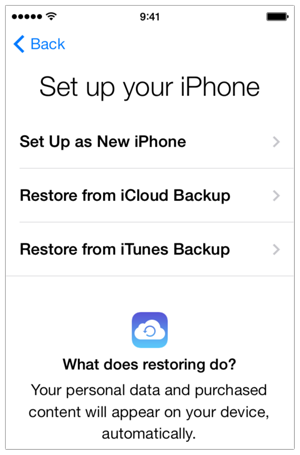 Go through the setup assistant again as you did when your phone was new.