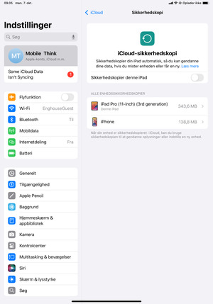 Aktiver Sikkerhedskopier denne iPad