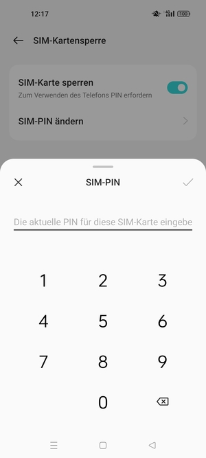 Geben Sie Aktuelle PIN für die SIM-Karte ein und wählen Sie OK