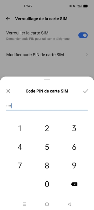 Saisissez Code PIN actuel de carte SIM et sélectionnez OK