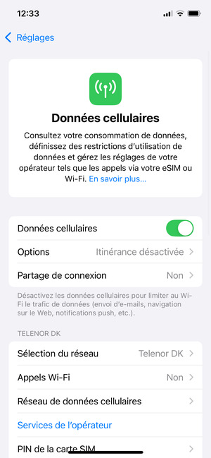 Sélectionnez Réseau de données cellulaires