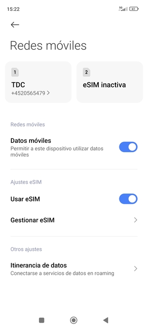 Desplácese y seleccione Itinerancia de datos