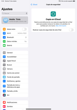 Active Realizar copia de seguridad de este iPad