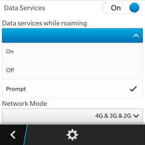 Select Data services while roaming and select On or Off
