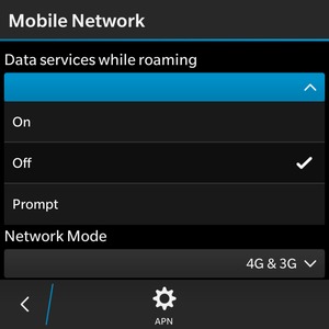 Select Data services while roaming and select On or Off