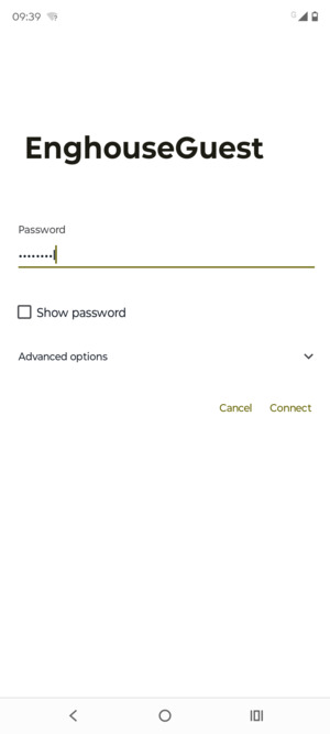 Enter the Wi-Fi password and select Connect