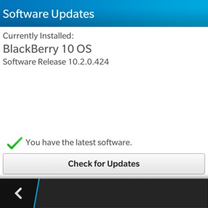 If your Blackberry is up to date, you will see the following screen