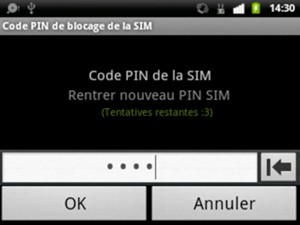 Veuillez confirmer votre Nouveau PIN SIM et sélectionner OK