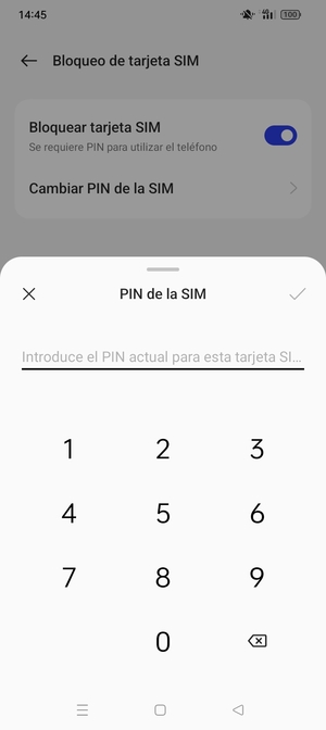 Introduzca PIN actual de la tarjeta SIM y seleccione Aceptar