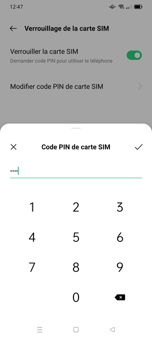 Saisissez votre code PIN actuel de carte SIM et sélectionnez OK