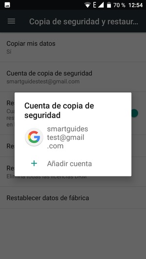 Seleccione su cuenta de copia de seguridad