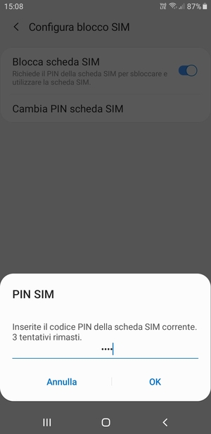 Inserisci Codice PIN della scheda SIM corrente: e seleziona OK::