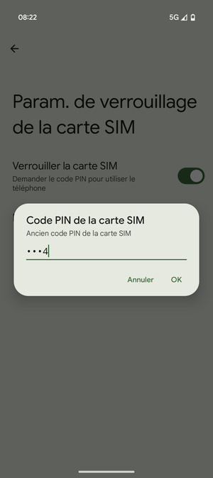 Saisissez votre Ancien code PIN de la carte SIM et sélectionnez OK