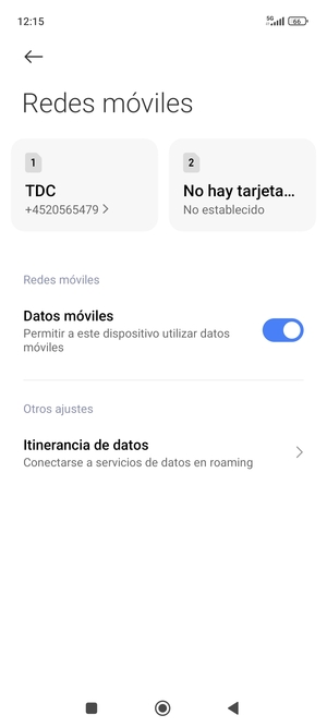 Desplácese y seleccione Itinerancia de datos