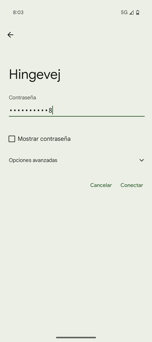 Introduzca la contraseña de Wi-Fi y seleccione Conectar