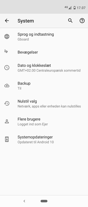 Vælg Systemopdateringer