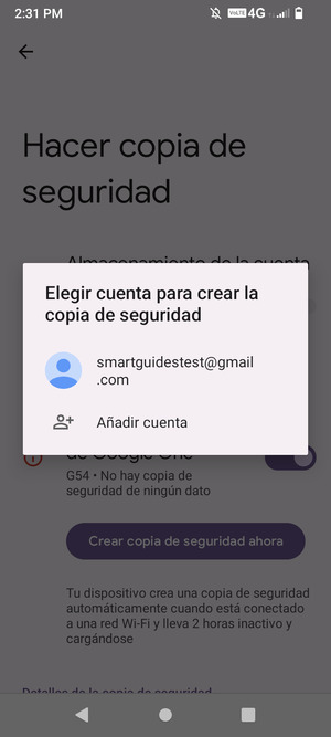 Seleccione su cuenta de copia de seguridad