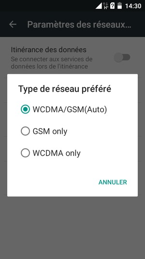 Sélectionnez GSM only pour activer la 2G et WCDMA/GSM(Auto) pour activer la 3G