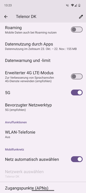 Scrollen Sie und wählen Sie Bevorzugter Netztyp