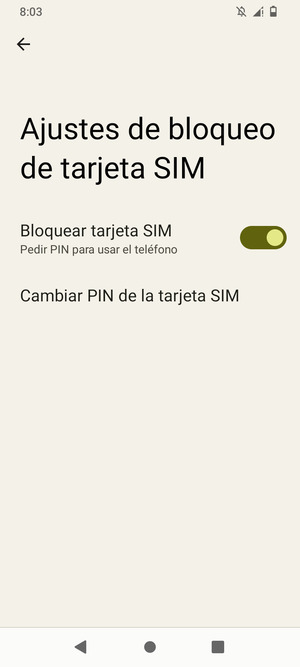 Seleccione  Cambiar PIN de la tarjeta SIM