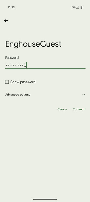 Enter the Wi-Fi password and select Connect