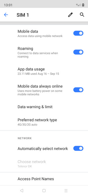 Scroll down and turn off Roaming