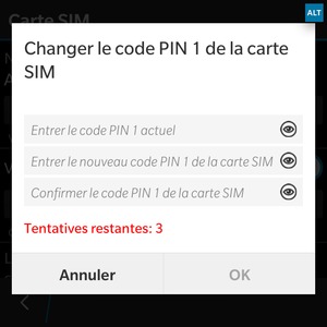 Saisissez le code PIN actuel de votre carte SIM ainsi que le nouveau. Confirmez le nouveau code PIN et sélectionnez OK