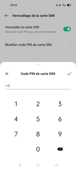 Saisissez code PIN actuel de carte SIM et sélectionnez OK