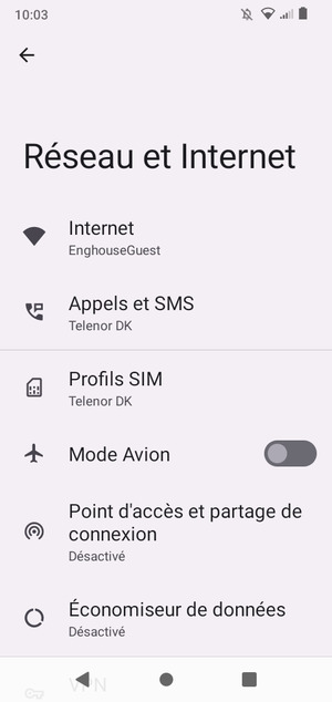 Sélectionnez Profils SIM