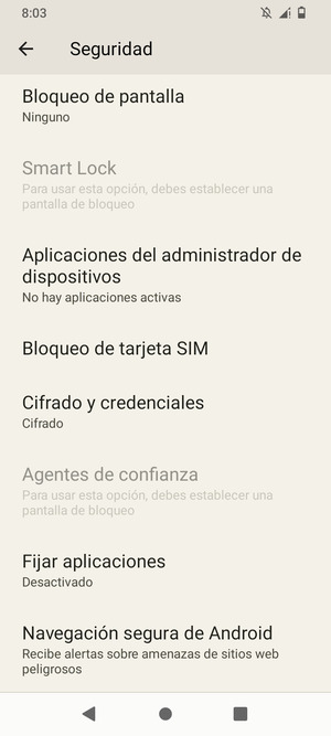 Para cambiar el PIN de la tarjeta SIM, vaya al menú Seguridad y seleccione Bloqueo de Tarjeta SIM