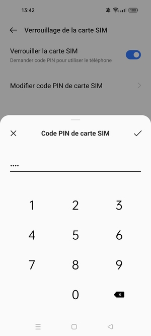 Saisissez Code PIN actuel de carte SIM et sélectionnez OK