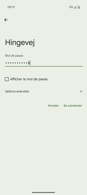 Saisissez le mot de passe du Wi-Fi et sélectionnez Se connecter