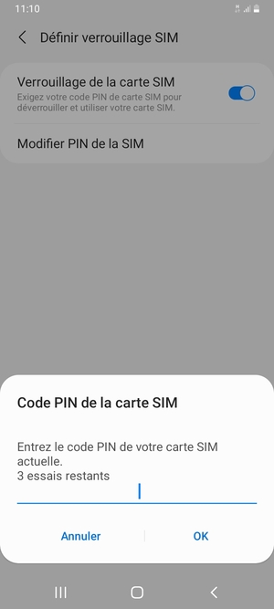 Saisissez votre Code PIN de la carte SIM actuelle et sélectionnez OK