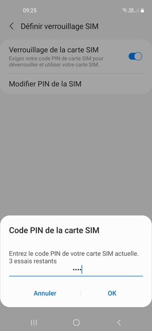 Saisissez votre code PIN de carte SIM actuelle et sélectionnez OK