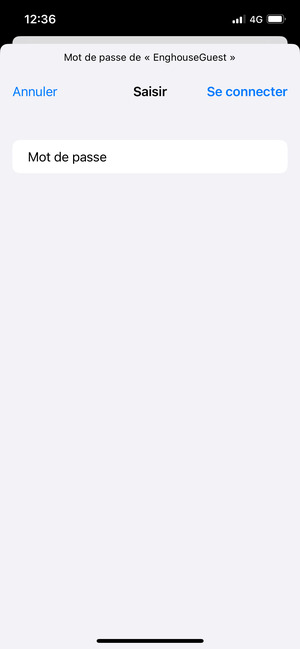 Saisissez le mot de passe du Wi-Fi et sélectionnez Se connecter