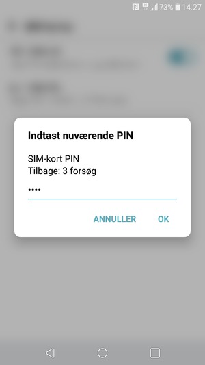 Indtast din Nuværende SIM-kort PIN og vælg OK