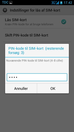 Indtast din Nuværende PIN-kode og vælg OK