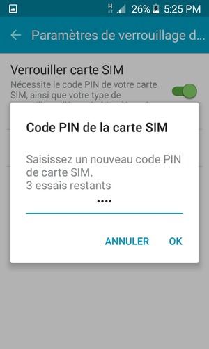 Saisissez votre Nouveau  code PIN de carte SIM et sélectionnez OK