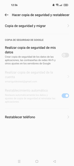 Active Realizar copia de seguridad de mis datos