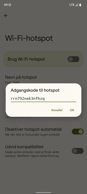 Indtast en Wi-Fi-hotspot adgangskode på minimum 8 tegn og vælg OK