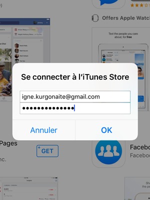 Saisissez votre Identifiant Apple et mot de passe et sélectionnez OK