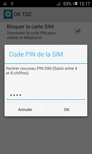Veuillez confirmer votre nouveau Code PIN de la SIM et sélectionner OK