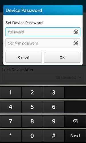 Enter a password twice and select OK