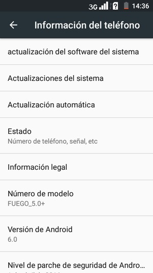 Seleccione Actualización automática