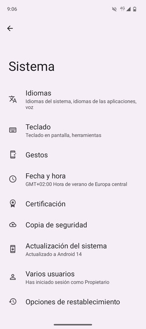 Seleccione Actualización del sistema