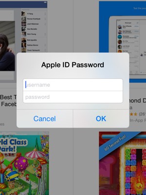 Introduzca Nombre de usuario ID de Apple y Contraseña del ID de Apple. Seleccione Aceptar