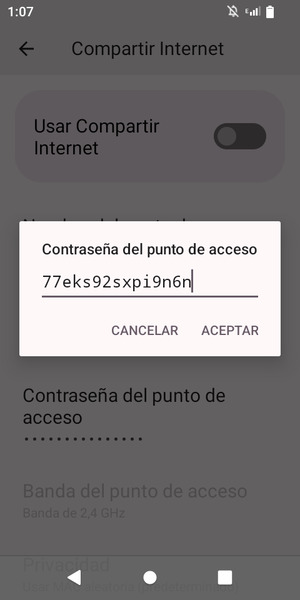 Introduzca una contraseña de punto de acceso Wi-Fi de al menos 8 caracteres y seleccione ACEPTAR