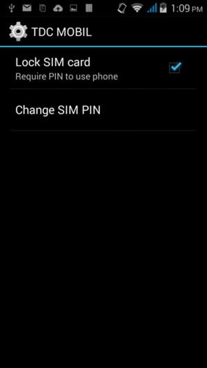 Check the Lock SIM card checkbox and select Change SIM PIN